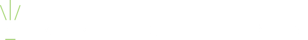 Orangutan